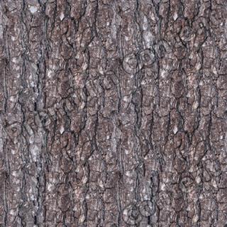 Seamless Bark 0009